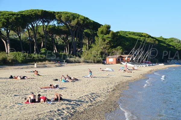 Photo de la plage du Vieux Moulin en été à Grimaud