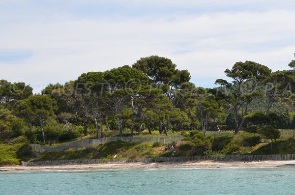 Plage peu fréquentée à Bormes les Mimosas