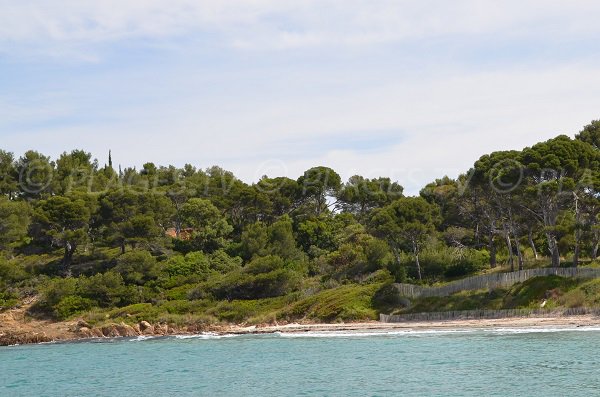 Plage proche du Fort de Brégaçon - la Vignasse