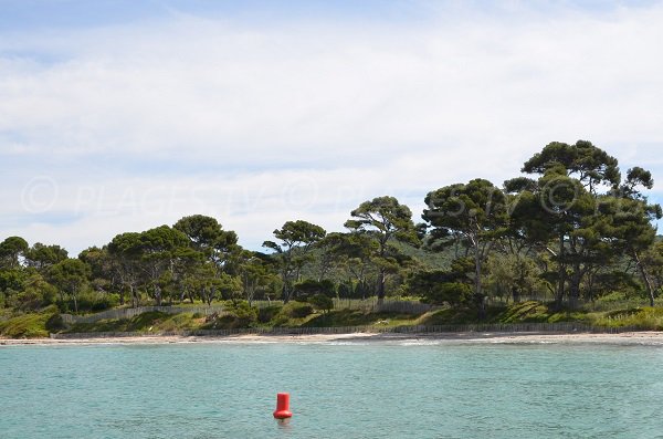 Vignasse beach in Bormes les Mimosas in France