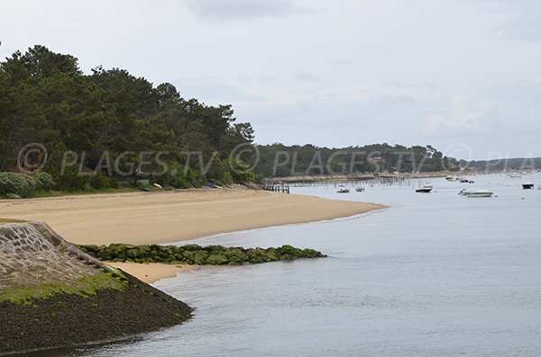 Vigne beach in Cap Ferret in France