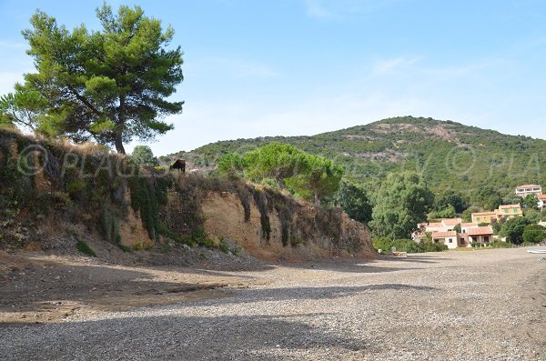 Centre de la plage de Galéria