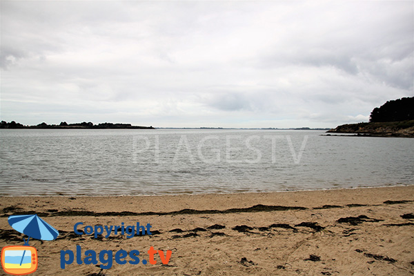 Ile Tascon - Golfe du Morbihan