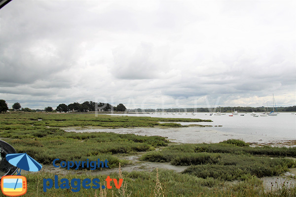 Marais autour de la plage de la Villeneuve - Séné