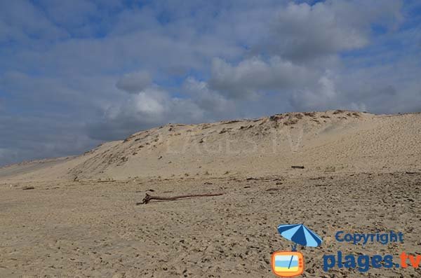 Dunes de la plage du Viver à Biscarrosse