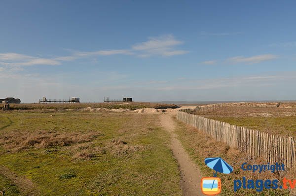 Access to the beach of Yves in Charente Maritime