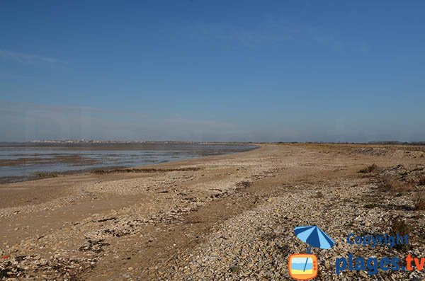 Photo de la plage d'Yves en Charente Maritime