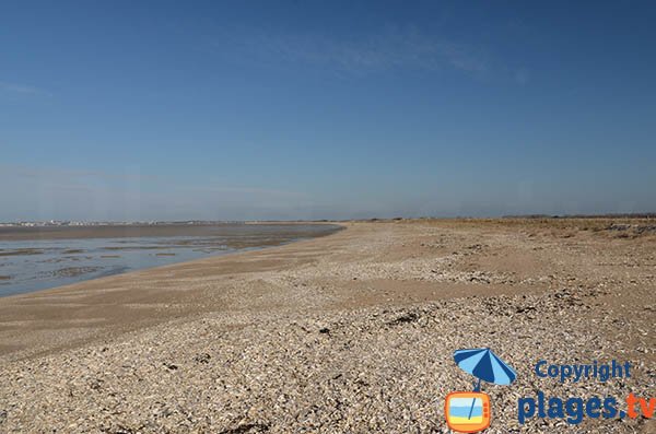 Beach of Marouillet in Yves and view on La Rochelle