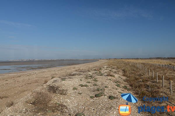 Dunes et plage du Marouillet à Yves