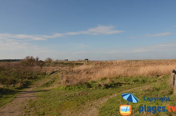 Photo of Marais d'Yves in Charente Maritime - France