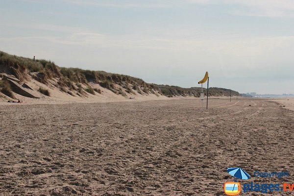 Dunes of the Zuydcoote beach in France