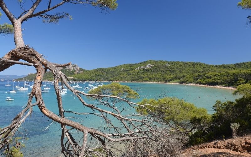 Plage de Notre Dame à Porquerolles