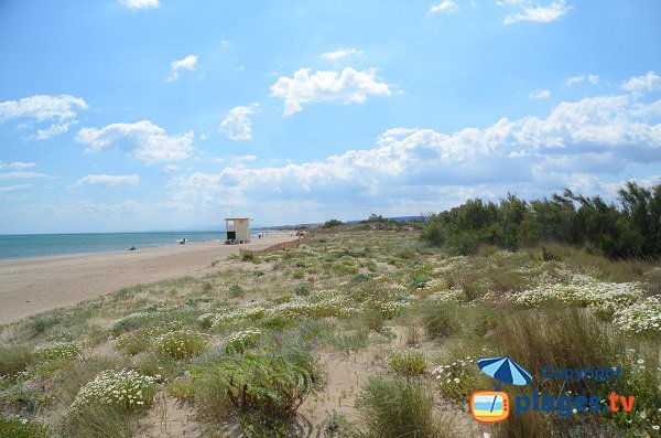 Foto della spiaggia di Les Cabanes Fleury (St Pierre sur Mer) in Francia