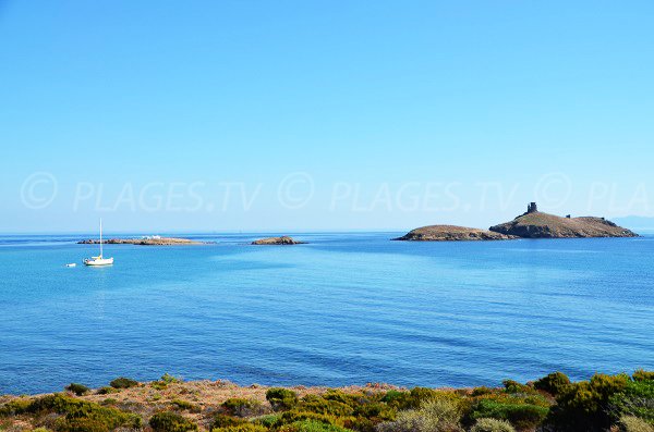 Finocchiarola island in Corsica