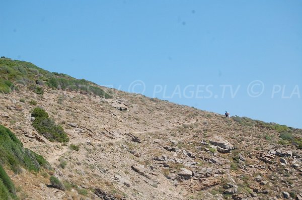 Percorso alla spiaggia delle Isole di Finocchiarola