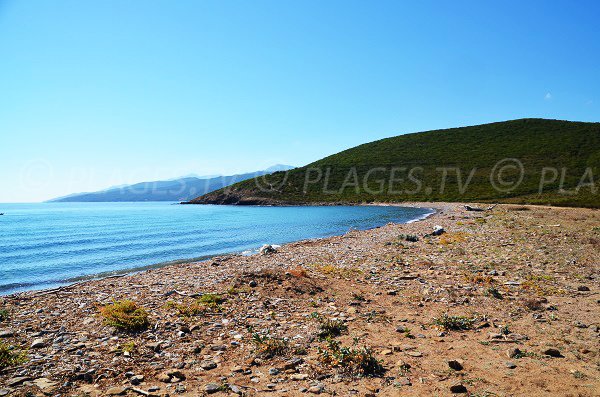 Photo of Finocchiarola beach in Corsica