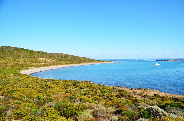 Spiaggia delle isole di Finocchiarola a Macinaggio - Corsica