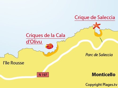 Carte des criques dans la Cala d'Olivu à Monticello