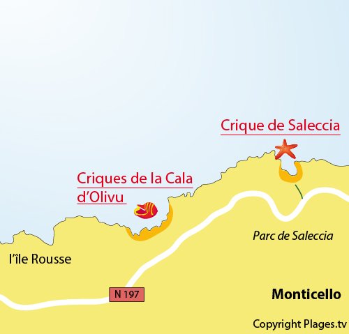 Plan de la crique de Saleccia en Corse à proximité de l'Ile Rousse