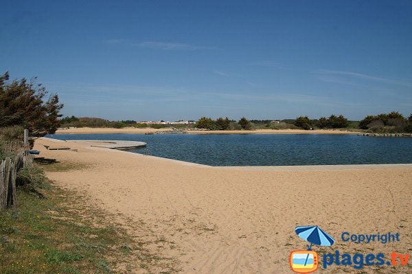 Baignade dans un plan d'eau à la Normandelière - Brétignolles