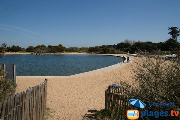 Baignade à marée basse à Brétignolles sur Mer