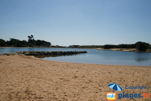 Extrémité du plan d'eau de Brétignolles