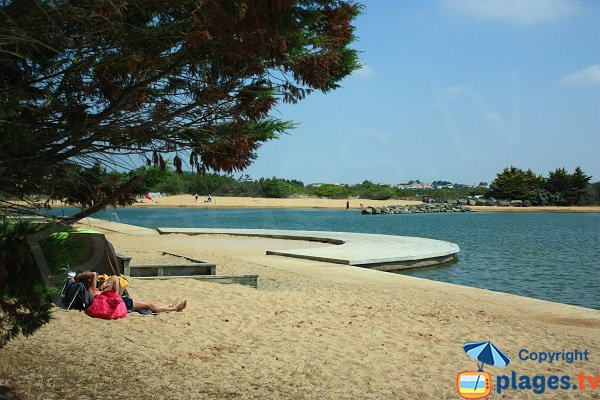 Plage avec de l'ombre au bord du bassin de Brétignolles (85)