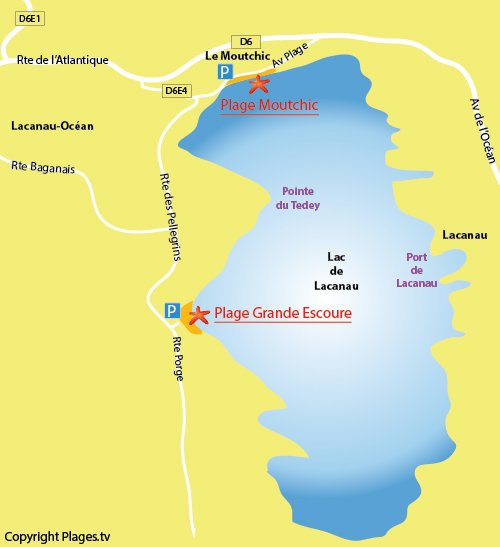 Carte de la plage de la Grande Escoure à Lacanau