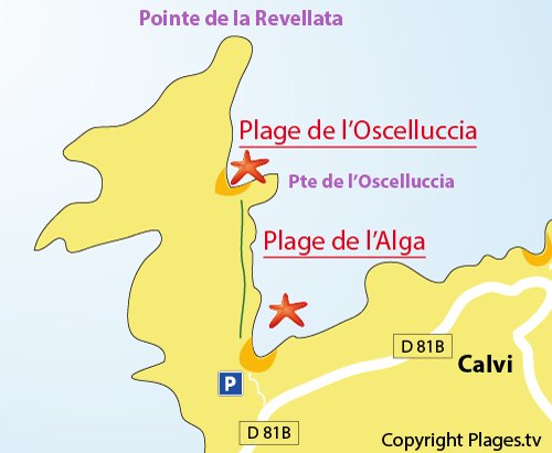 Carte de la plage de l'Oscelluccia à Calvi