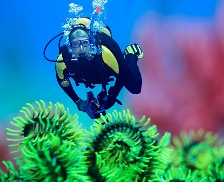 Pratiquer de la plongée sous-marine