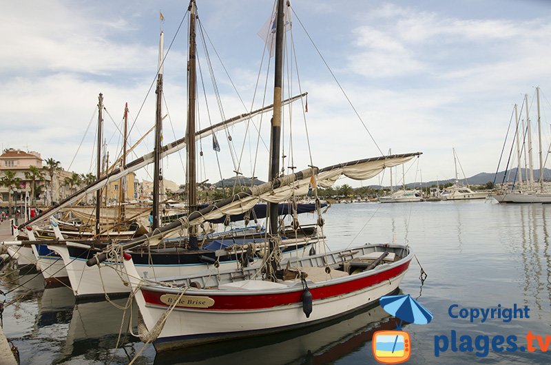 Pointu in Sanary port in France