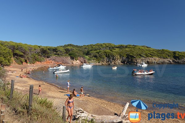 Plage Noire du Langoustier: une des plus belles plages sauvages de Porquerolles