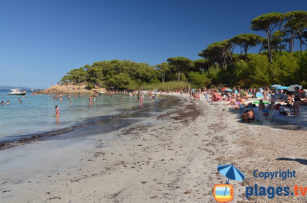 La plage d'Argent à Porquerolles: trop touristique