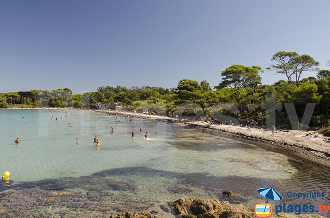 Beach near the port of Porquerolles - Argent beach