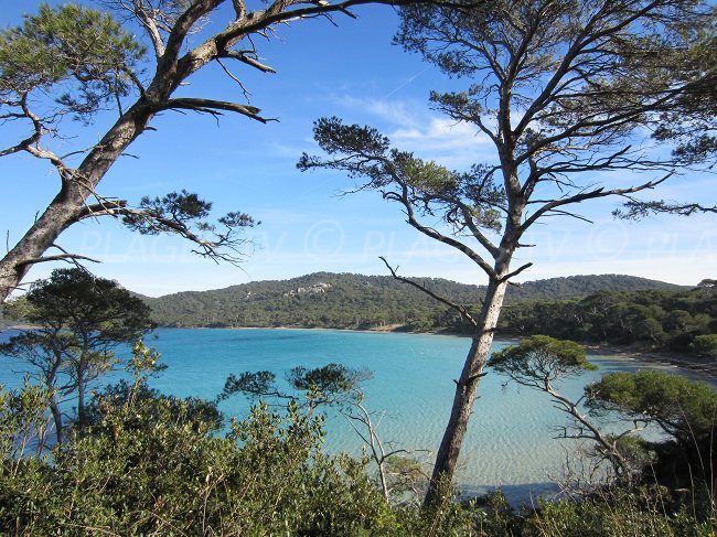 Bay of Porquerolles near Notre Dame beach