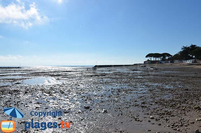 Port d'Angoulins sur Mer à marée basse