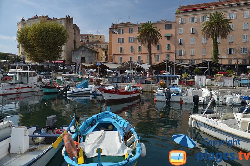 Ajaccio : an authentic harbor