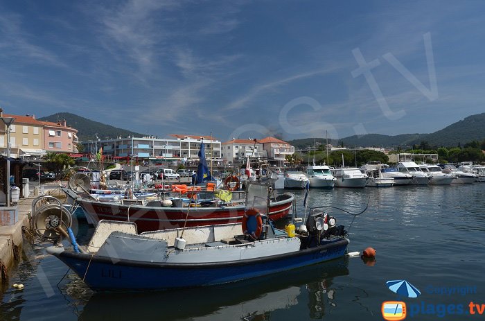 Port de Carqueiranne