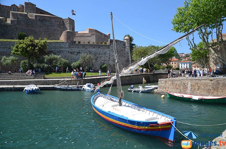 Collioure harbour