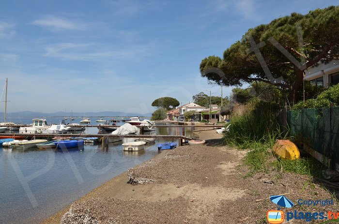 Port des arbanais sur la presqu'ile de Giens