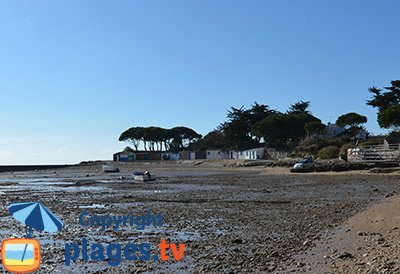 Port de Loiron à Angoulins