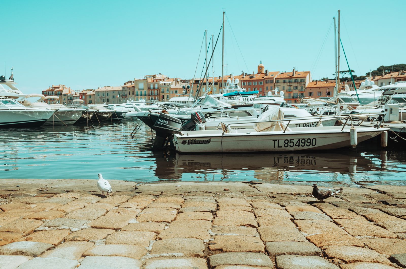 Hafen von Saint Tropez