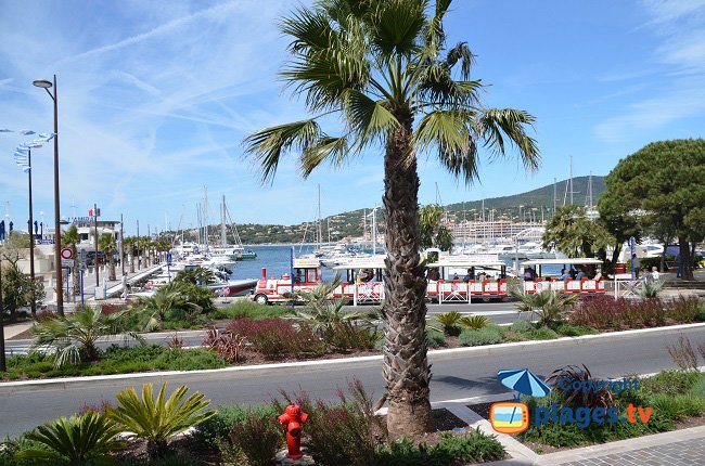 Port of Sainte Maxime in France