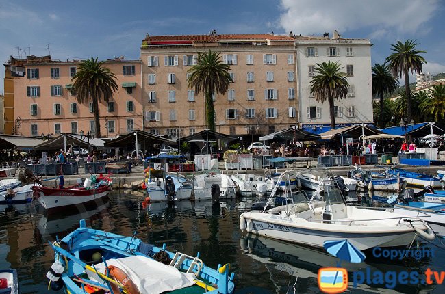 Tino Rossi harbour at the old city of Ajaccio