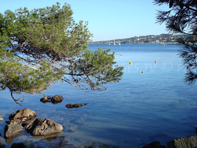 Environnement de la presqu'île de Giens