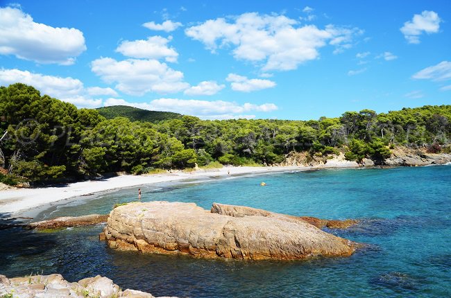 Plage sauvage de Reine Jeanne à Bormes les Mimosas dans le Var