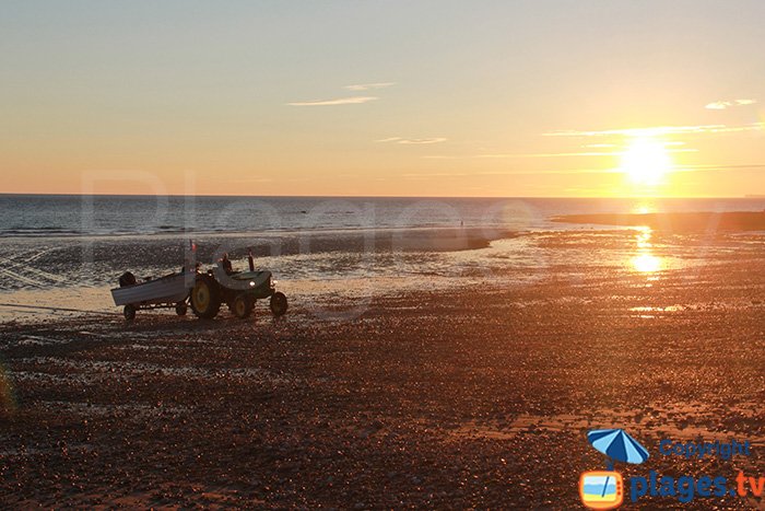 Return of the fishermen on the beach of Audresselles