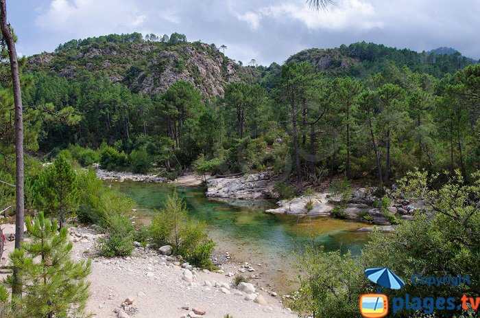 Torrente di Solenzara - Corsica