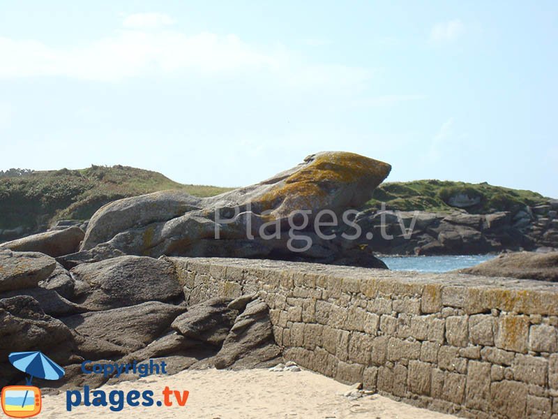 Rocher du Crapaud à Lanildut - Bretagne