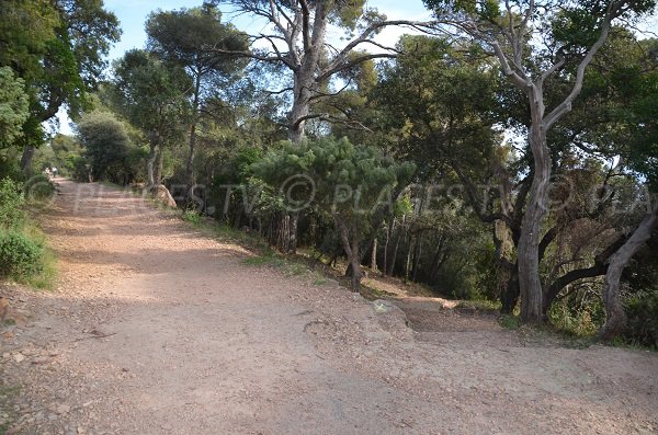 Sentier d'accès aux rochers du Dramont - St Raphael